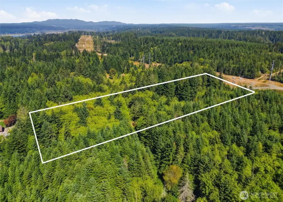 2041 E Rasor Rd, Belfair, WA 98528 - #3