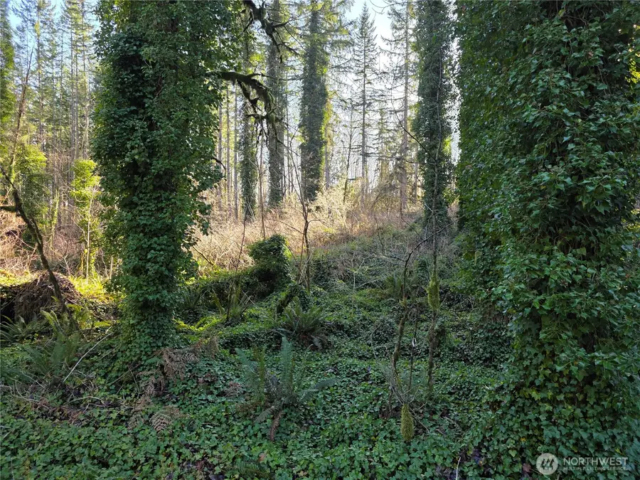 73 226th Avenue Ne #4, Granite Falls, WA 98252 - #2