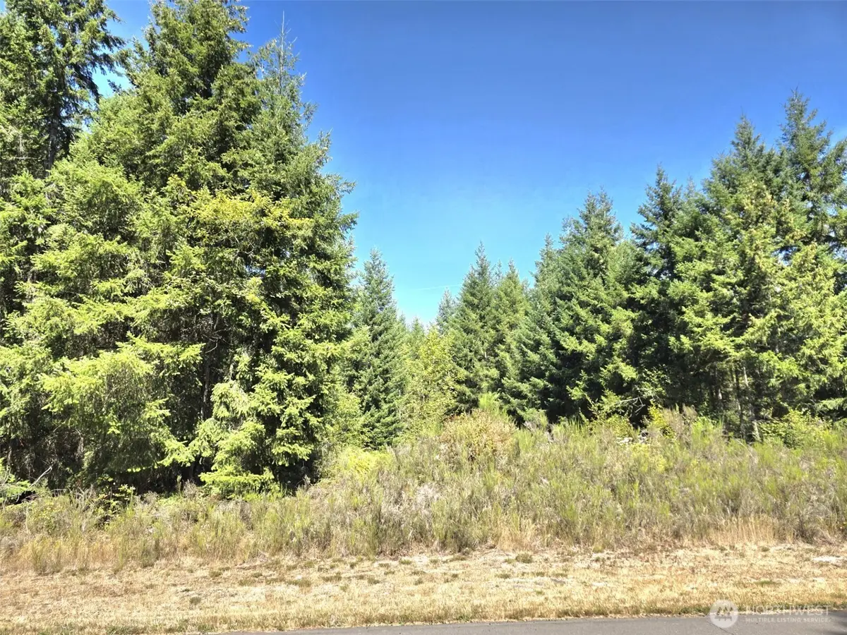 19710 146th Avenue Se, Yelm, WA 98597 - #1