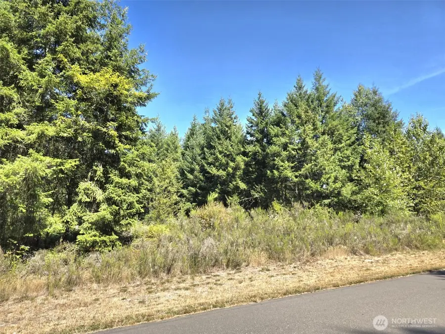 19710 146th Avenue Se, Yelm, WA 98597 - #3