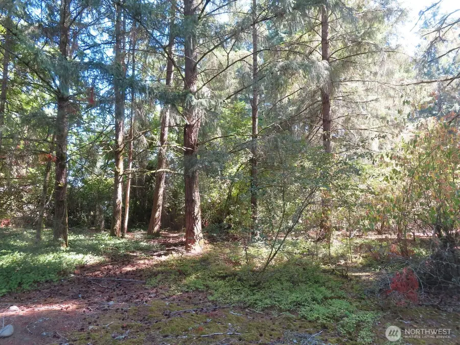 8021 Afflerbaugh Court Se, Lacey, WA 98503 - #2
