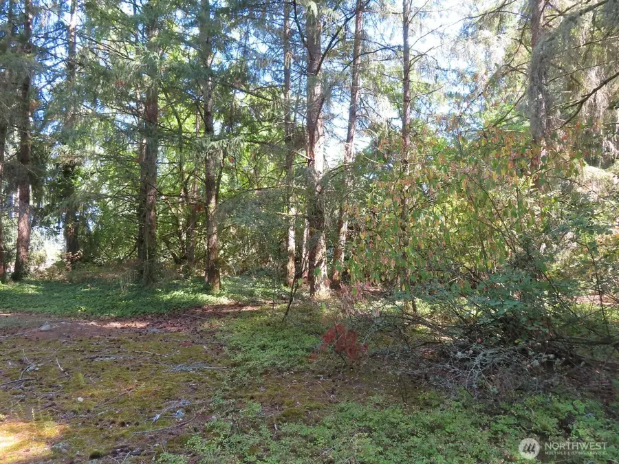 8021 Afflerbaugh Court Se, Lacey, WA 98503 - #3