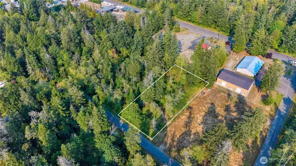 82 Massey Way #S 1/2 OF LOT 16, Point Roberts, WA 98281