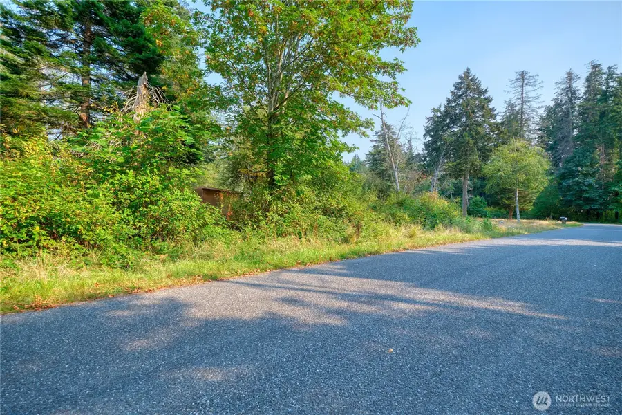 82 Massey Way #S 1/2 OF LOT 16, Point Roberts, WA 98281 - #3