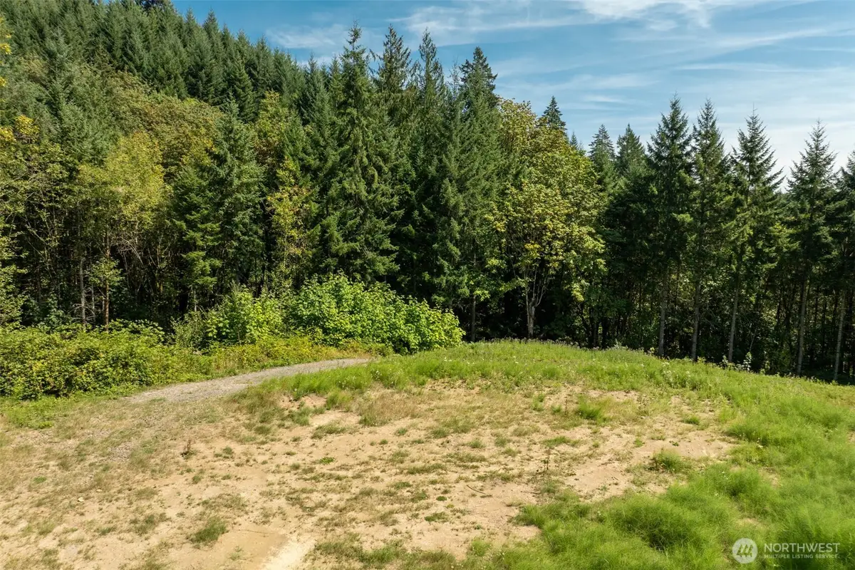 239 Junco Lane, Woodland, WA 98674 - #1