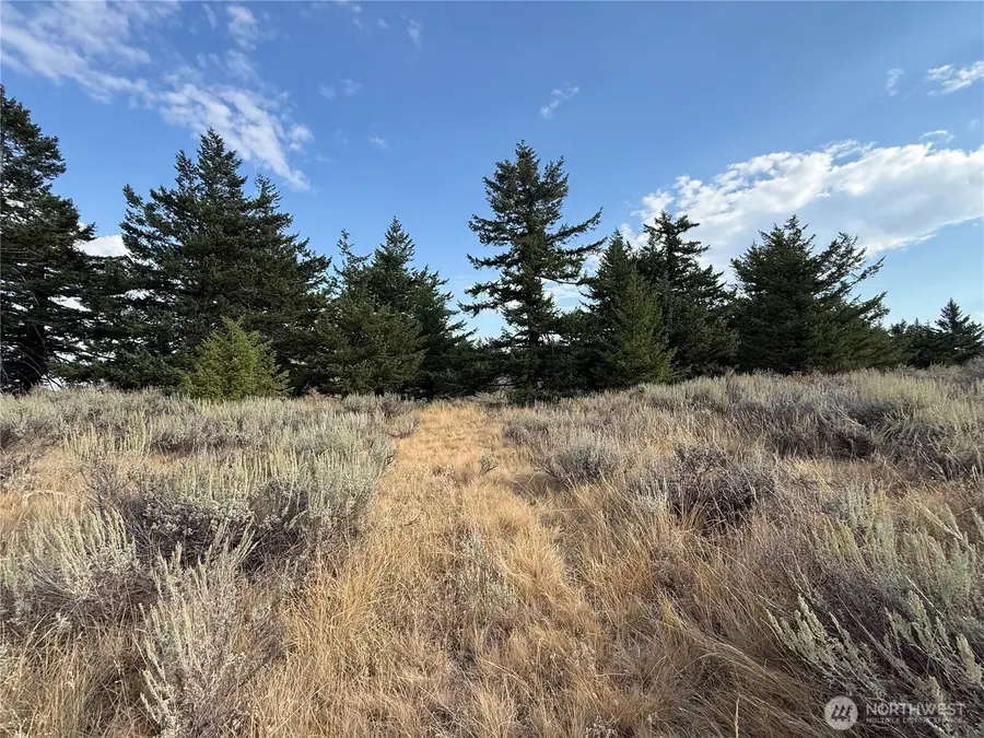 111 Off Log Camp Rd, Oroville, WA 98844 - #2