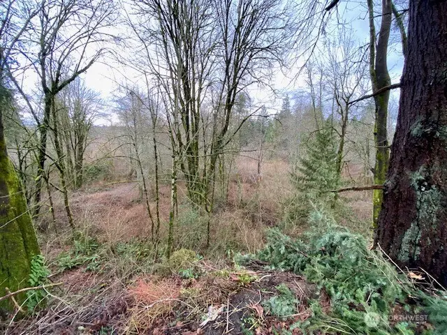 132 Linda Street Se, Tumwater, WA 98501 - #1