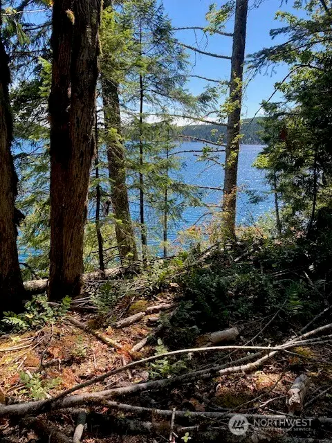 440 W Cushman Ridge Drive #13, Hoodsport, WA 98548 - #3