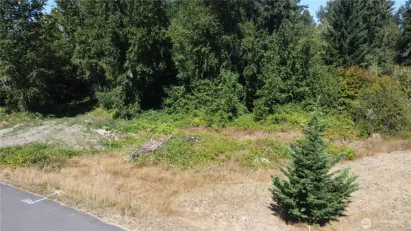 3009 342nd Street Ct S, Roy, WA 98580