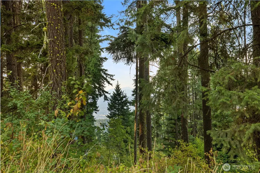 76 Horse Heaven Road #76, Cle Elum, WA 98922 - #2