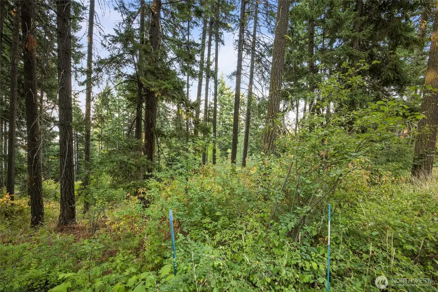 76 Horse Heaven Road #76, Cle Elum, WA 98922 - #3