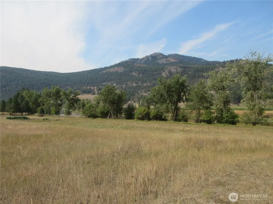 9999 Customs Road #3, Curlew, WA 99118 - #2