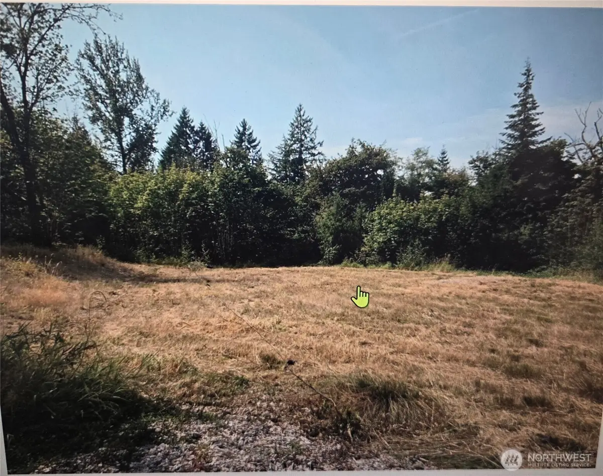144 Dowling Road, Toledo, WA 98591 - #1
