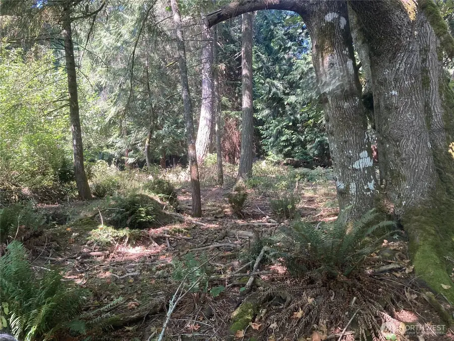 10919 Riviera Drive #70 & 71, Anderson Island, WA 98303 - #2
