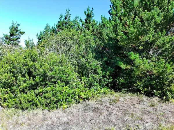362 King Cyrus Loop Sw #467, Ocean Shores, WA 98569