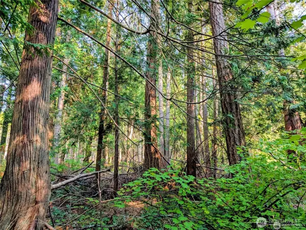 2 Mill Road, Point Roberts, WA 98281