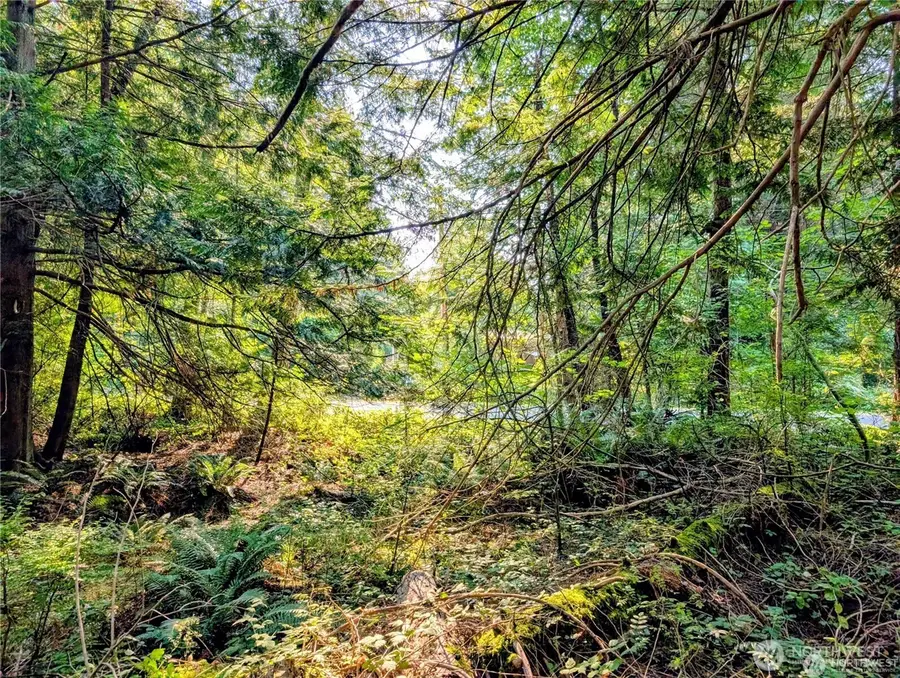 2 Mill Road, Point Roberts, WA 98281 - #3