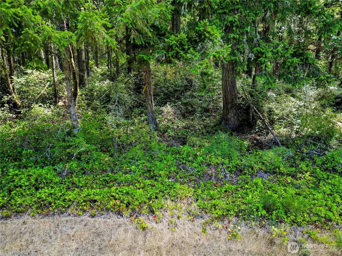 10205 Eckenstam Johnson Road, Anderson Island, WA 98303 - #1