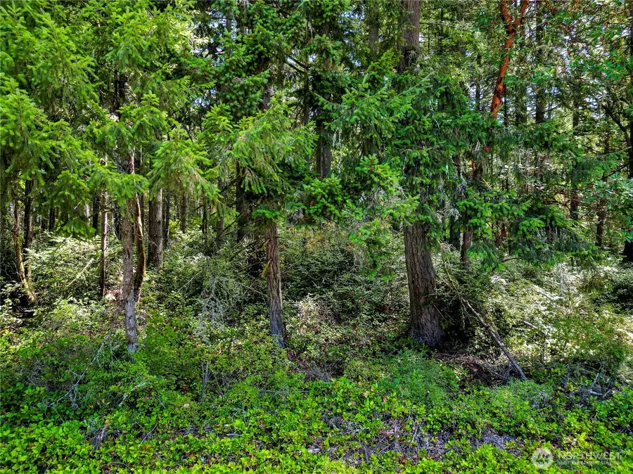 10205 Eckenstam Johnson Road, Anderson Island, WA 98303 - #2
