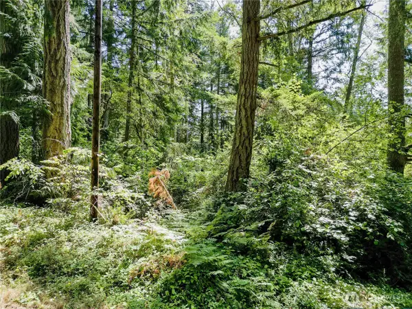 12212 Sound Drive, Anderson Island, WA 98303