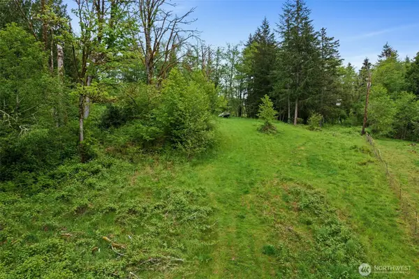 0 X Salmon Creek Road, Mossyrock, WA 98564