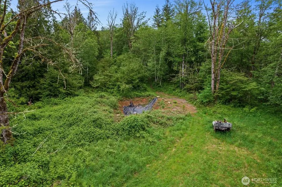 0 X Salmon Creek Road, Mossyrock, WA 98564 - #2