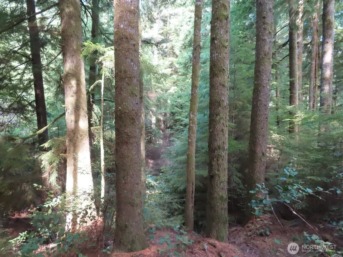 0 State Route 101, South Bend, WA 98586 - #1
