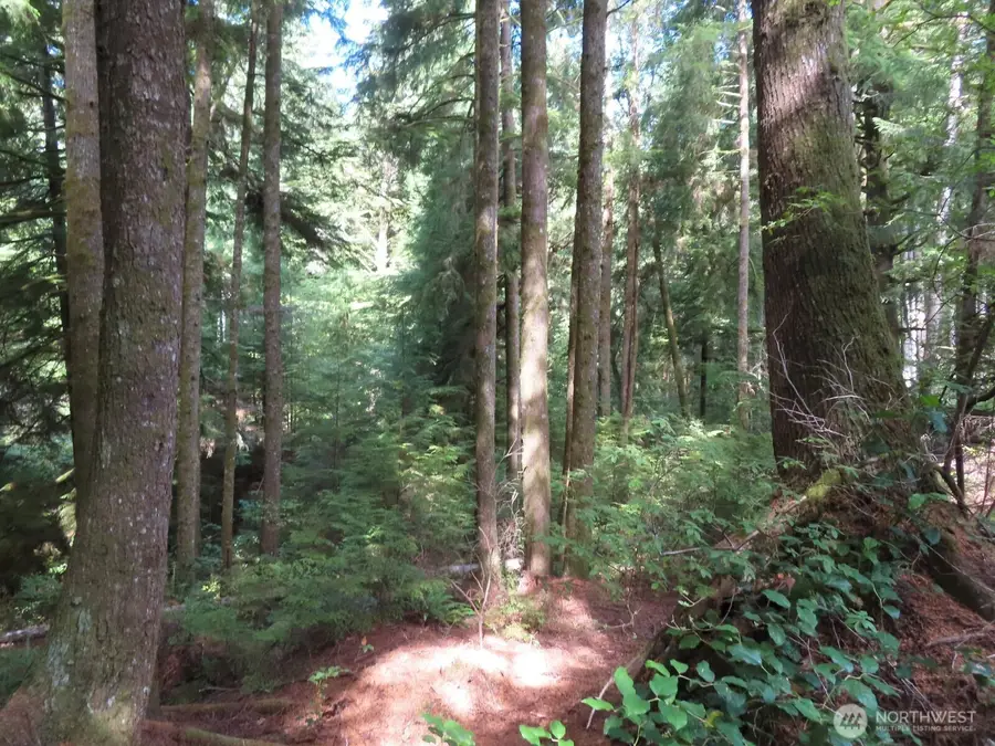 0 State Route 101, South Bend, WA 98586 - #2