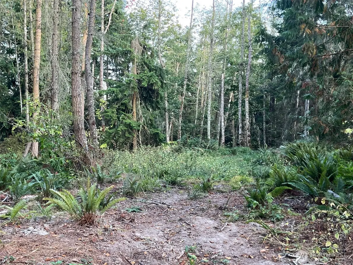 9999 Took-a-look Ln Lot 2 #2, Sequim, WA 98382 - #1