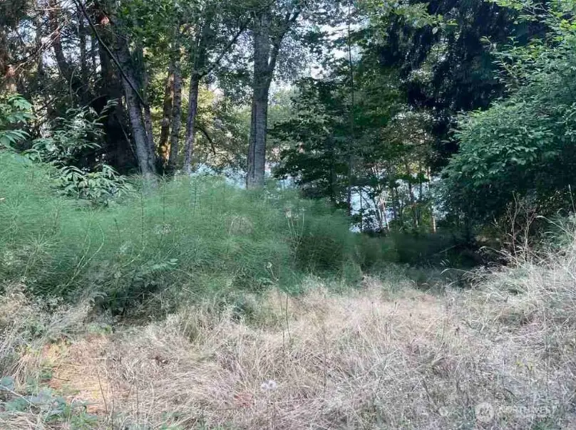108 E Beaver Lane #5, Shelton, WA 98584 - #2