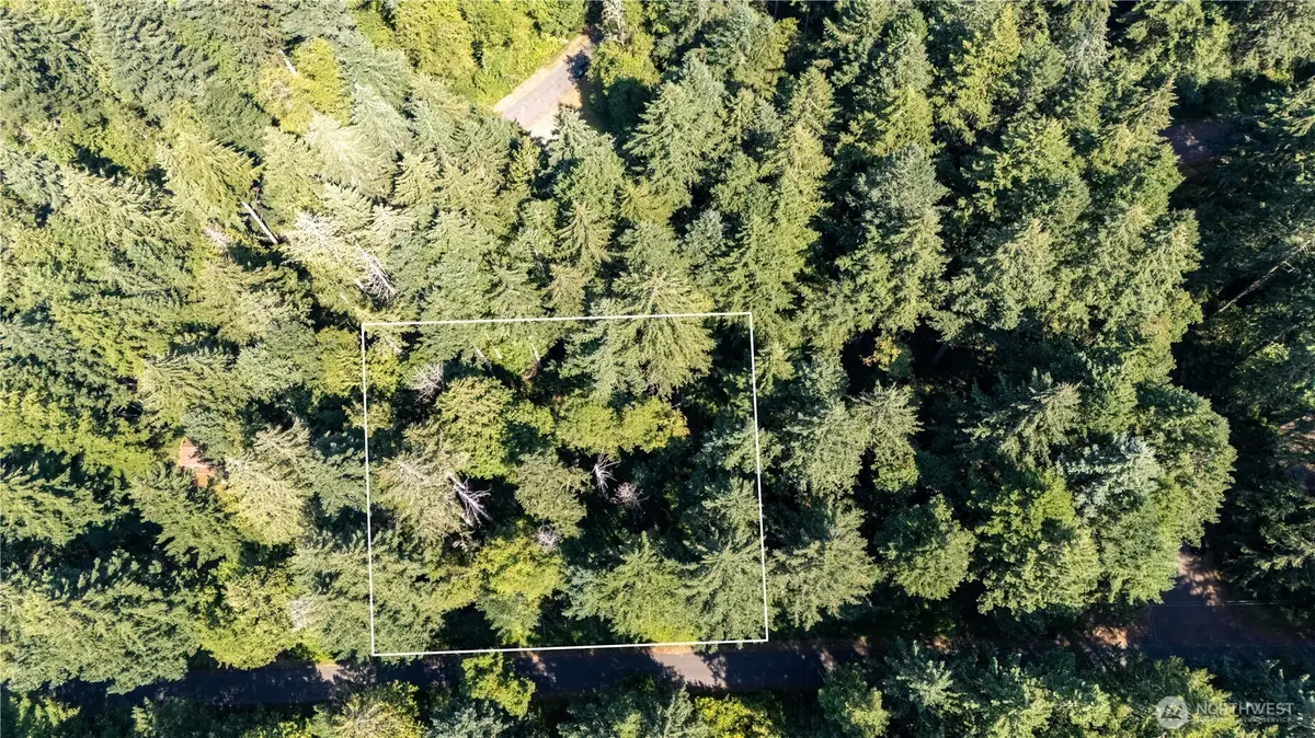 8819 Eckenstam Johnson Road, Anderson Island, WA 98303 - #1