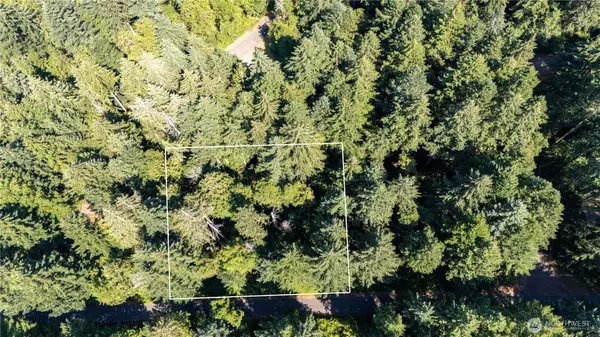 8819 Eckenstam Johnson Road, Anderson Island, WA 98303