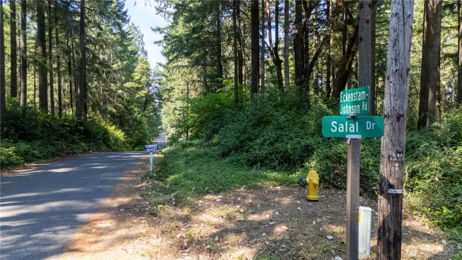 8819 Eckenstam Johnson Road, Anderson Island, WA 98303 - #2