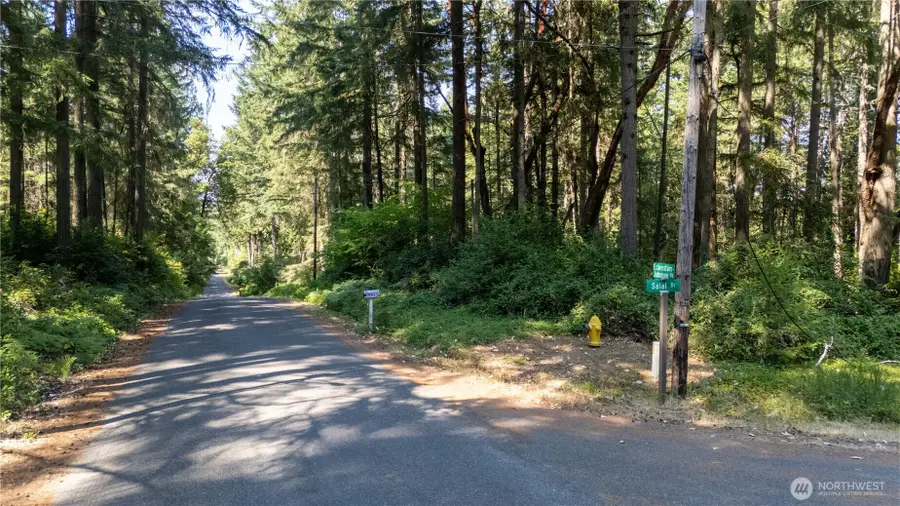 8819 Eckenstam Johnson Road, Anderson Island, WA 98303 - #3