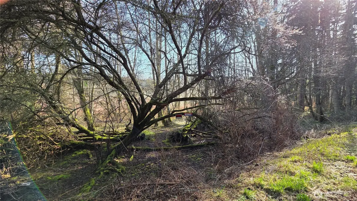 5707 Woodard Avenue, Freeland, WA 98249 - #1