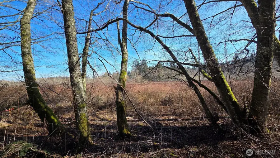 5707 Woodard Avenue, Freeland, WA 98249 - #2