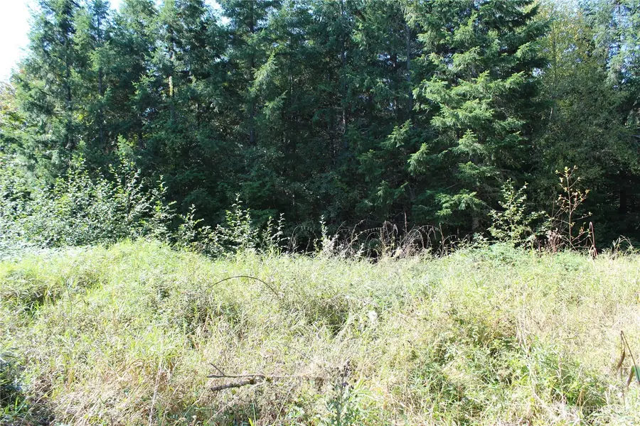 0 Lot G Ravenwood Drive, Kelso, WA 98626 - #3