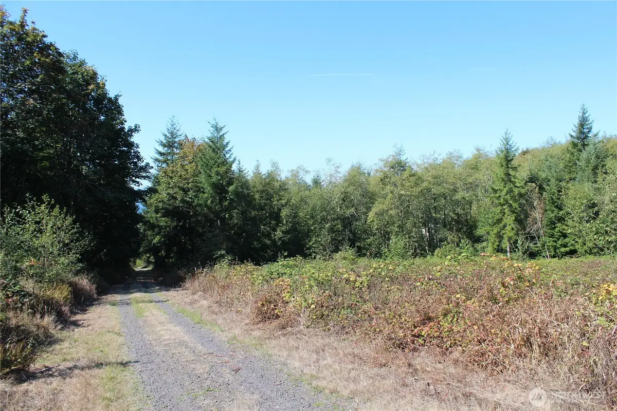 0 N Lot K Bodine Road, Kelso, WA 98626 - #1