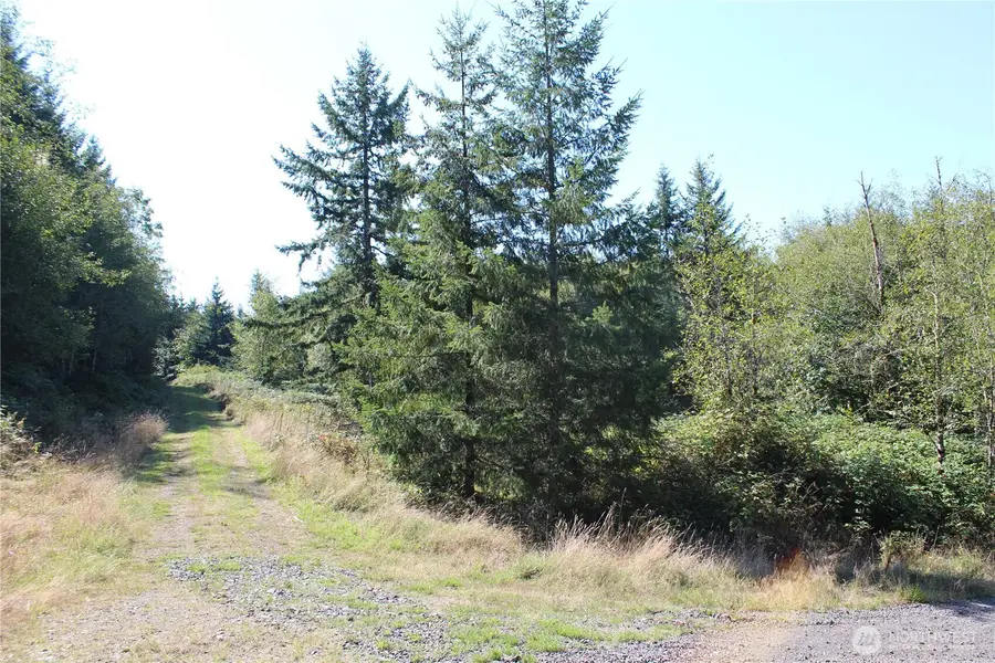 0 N Lot H Bodine Road, Kelso, WA 98626 - #2