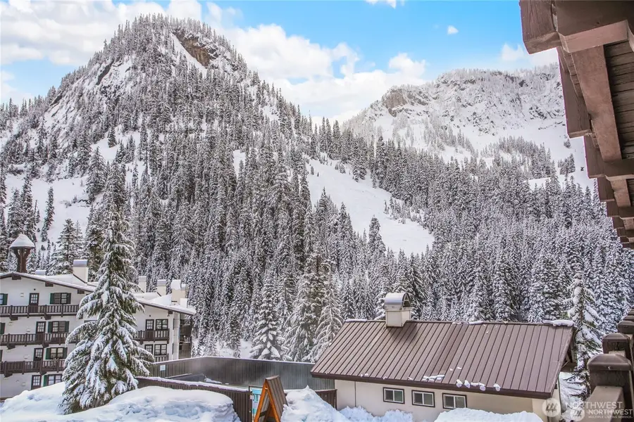 17800 Alpental Access Road Se #3102, North Bend, WA 98045 - #2