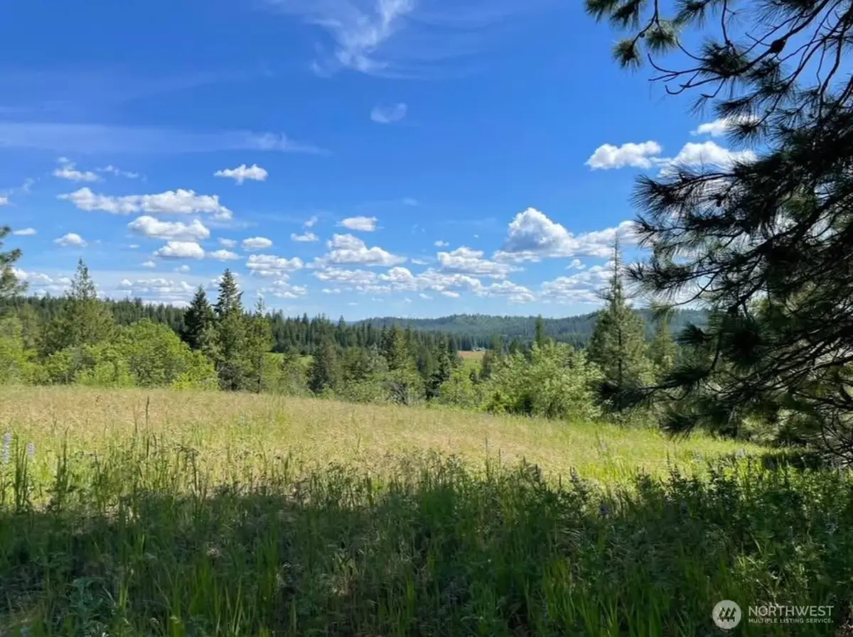 4401 Whittier Road, Clayton, WA 99110 - #1
