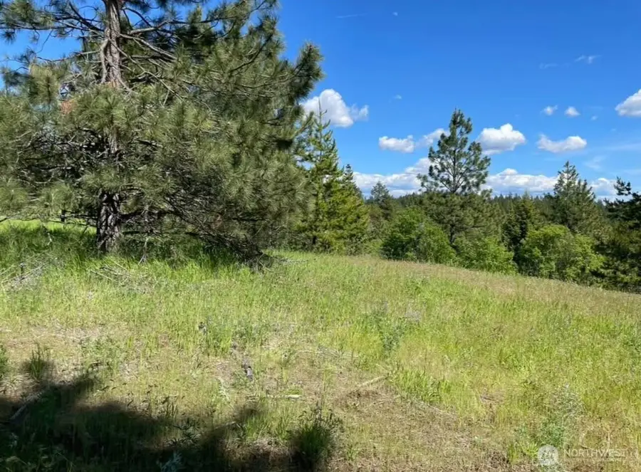 4401 Whittier Road, Clayton, WA 99110 - #3