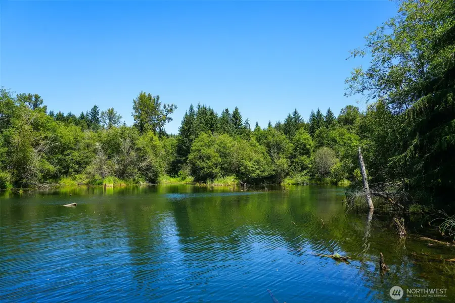21500 Tono Road, Centralia, WA 98531 - #3