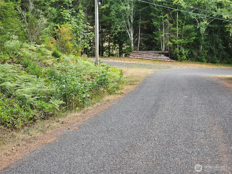390 W Satsop Drive #lots 28 &29, Elma, WA 98541 - #3