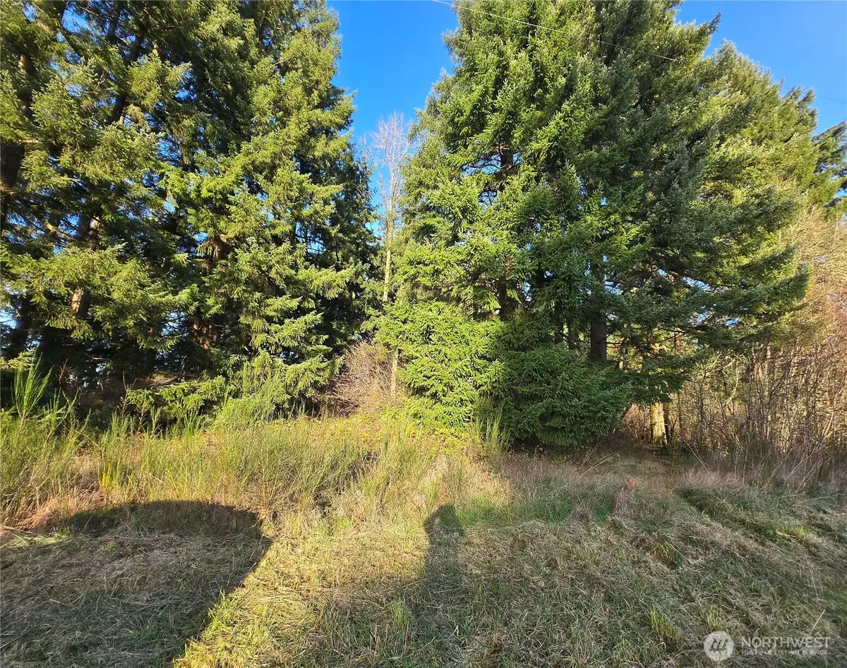 0 Clinton Road, Chehalis, WA 98532 - #1
