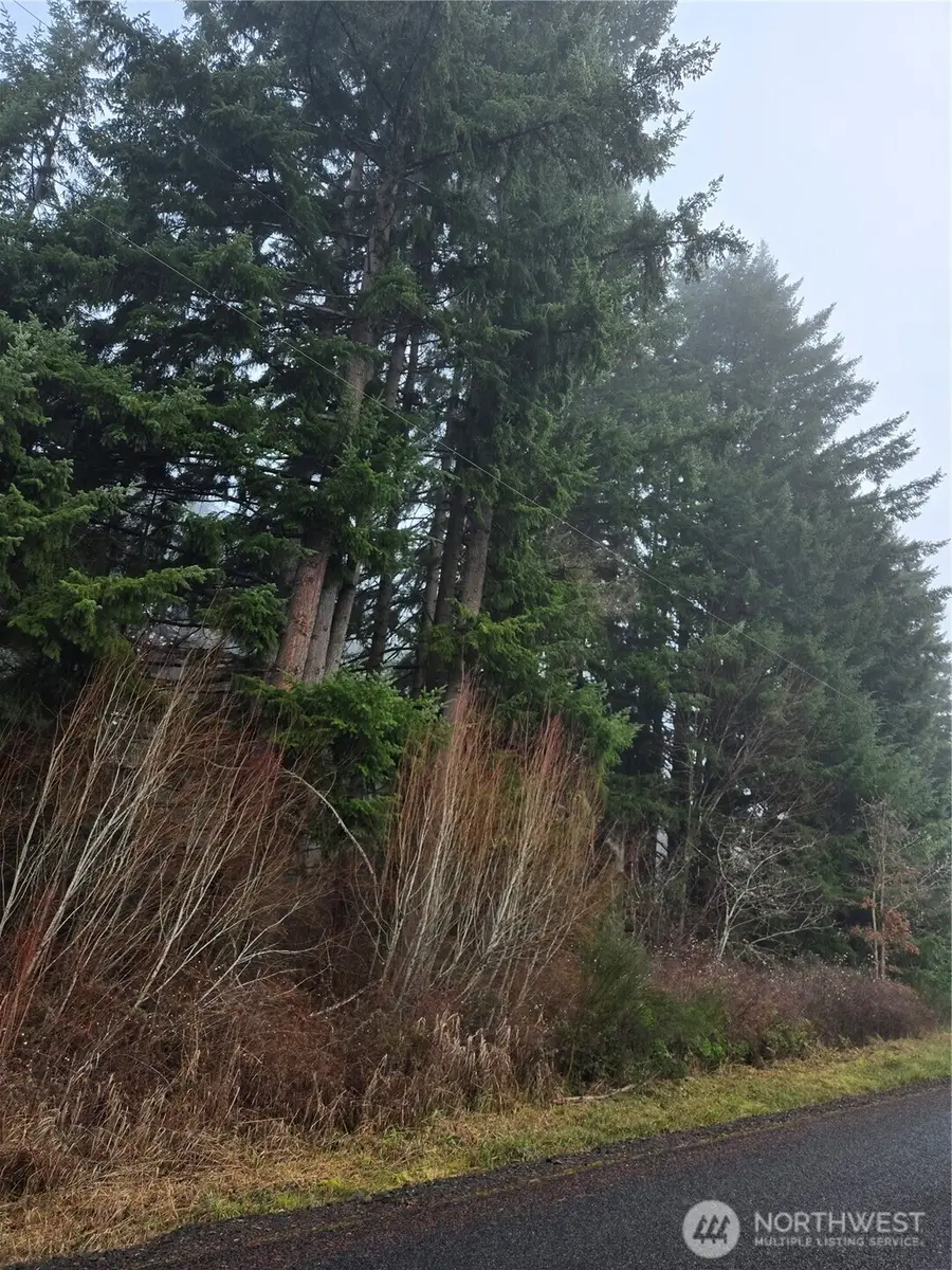 0 Clinton Road, Chehalis, WA 98532 - #3