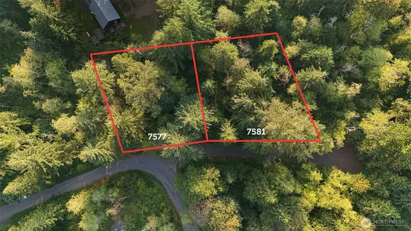 7581 Glacier Springs Drive, Glacier, WA 98244