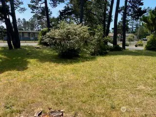 27008 Ridge Avenue, Ocean Park, WA 98640 - #1
