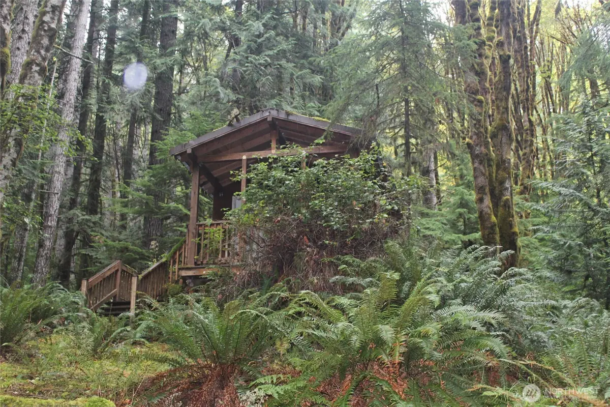 0 Camp David Jr. Road #Government Lot 17, Port Angeles, WA 98363 - #1