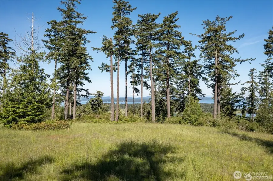 17 Mariner Drive, Lopez Island, WA 98261 - #2